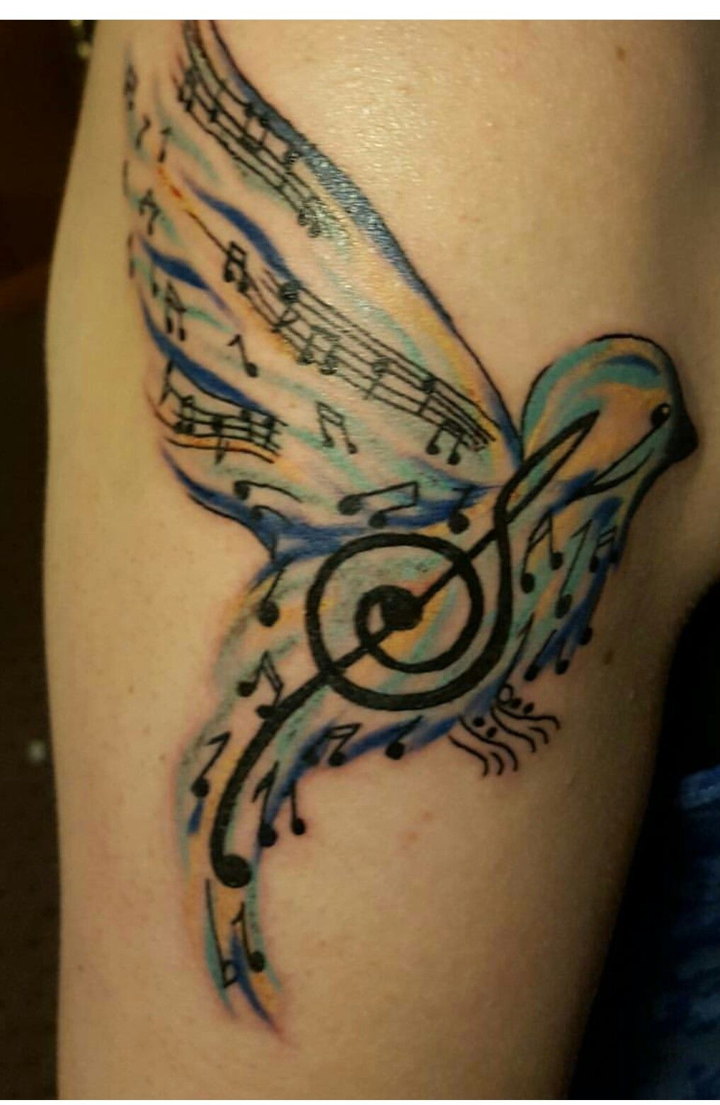 Musical Note Bird Tattoo Tattoos Music Bird Tattoos Music intended for proportions 1017 X 1560