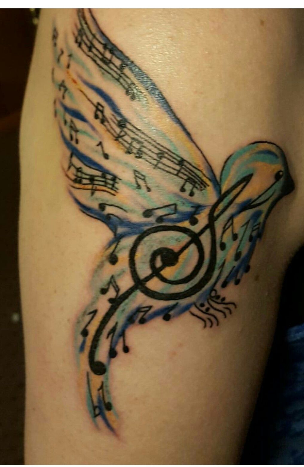 Musical Note Bird Tattoo Tattoos Music Bird Tattoos Music regarding size 1017 X 1560