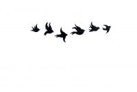 My Fav Bird Tattoos And Their Meanings Bird Tattoos Designs regarding dimensions 3492 X 2563