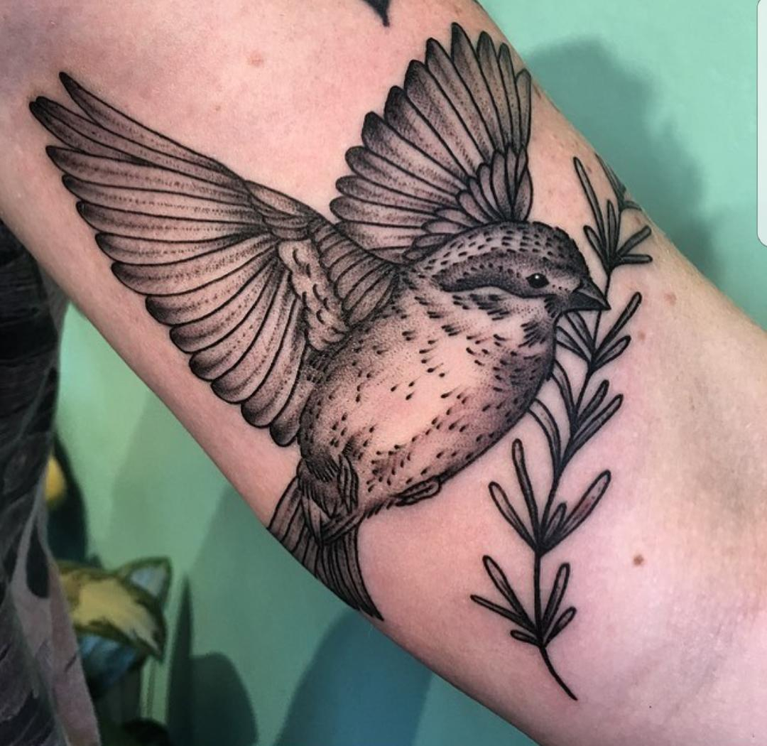 My Little Ba Bird House Finch Meg Knobel At Buju Tattoo In San regarding size 1080 X 1050