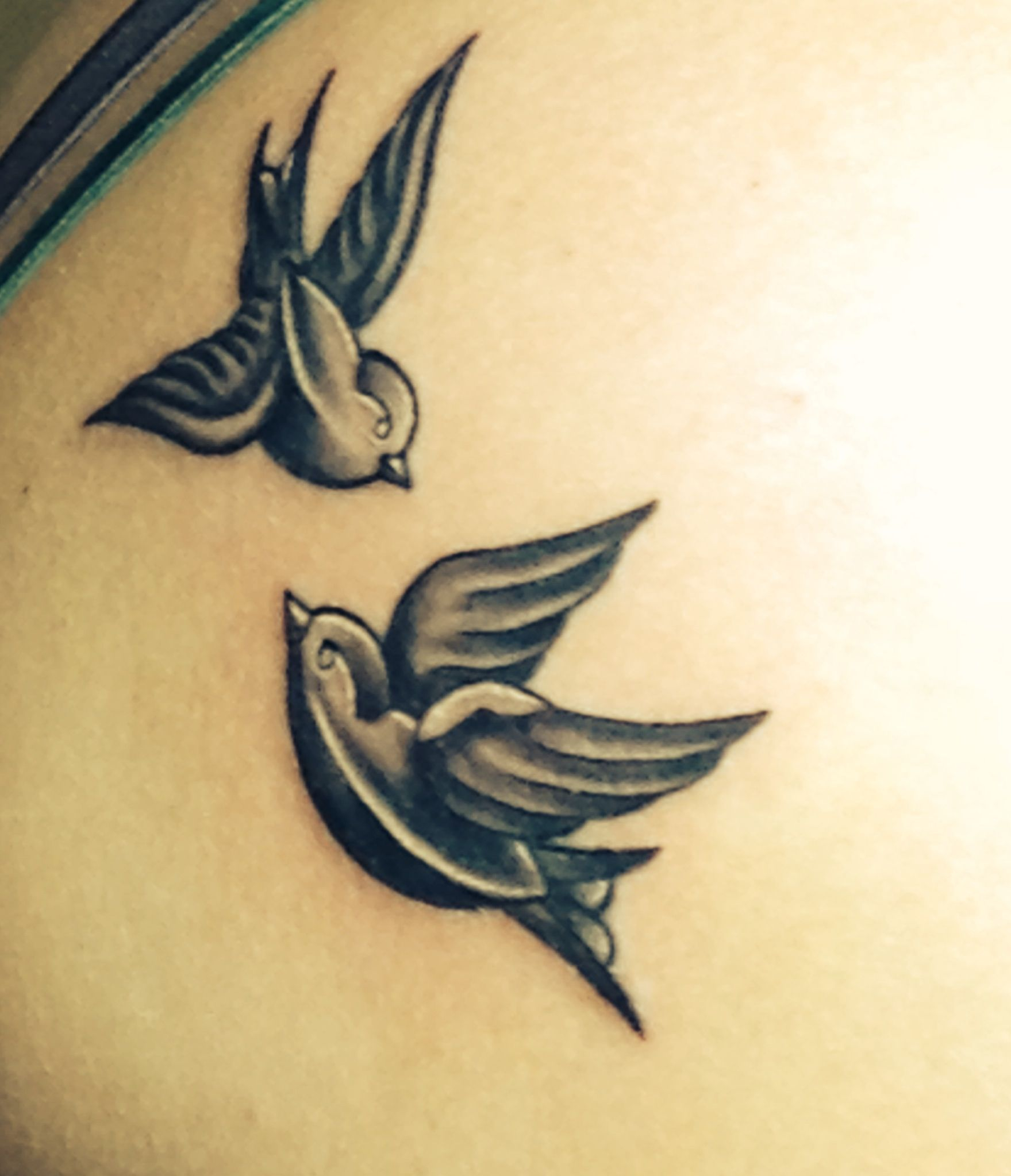 My Newest Tattoo Lovebirdsshoulder Lovebird Cancer Ribbon with regard to proportions 1759 X 2047