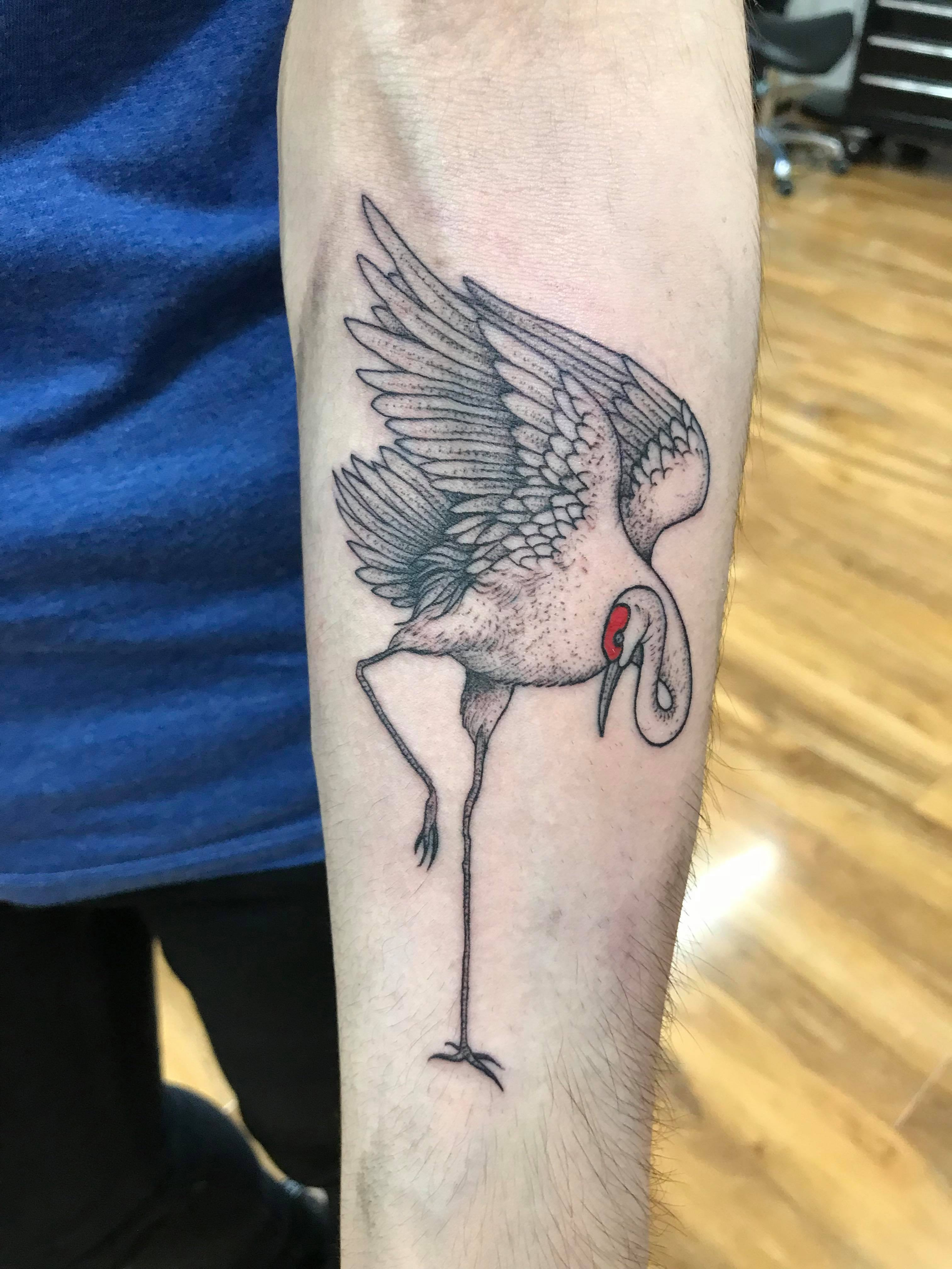 My Red Crowned Crane Bird In Memory Of My Brother Done Thomas in sizing 3024 X 4032