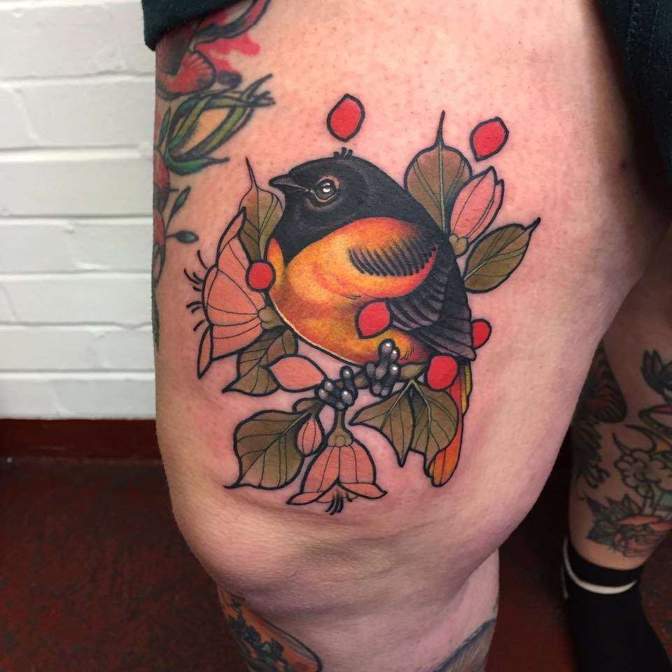 Neotraditional Style Baltimore Oriole Bird Tattoo On inside sizing 960 X 960