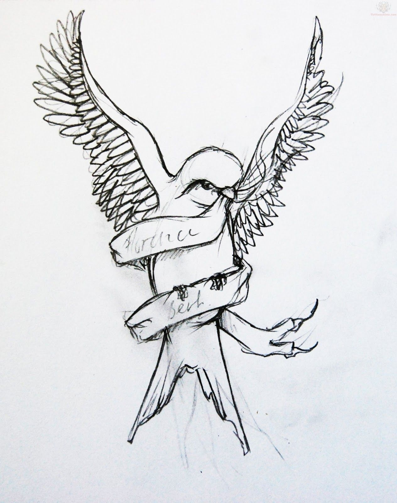Only Swallow Tattoo Swallow Bird Tattoo Designs Line Drawing regarding proportions 1264 X 1600