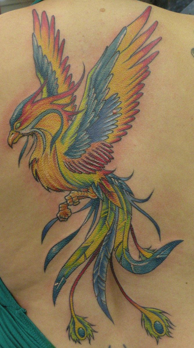 Phoenix Bird Tattoo Designs Colorful Rainbow Phoenix Tattoo The intended for sizing 668 X 1196
