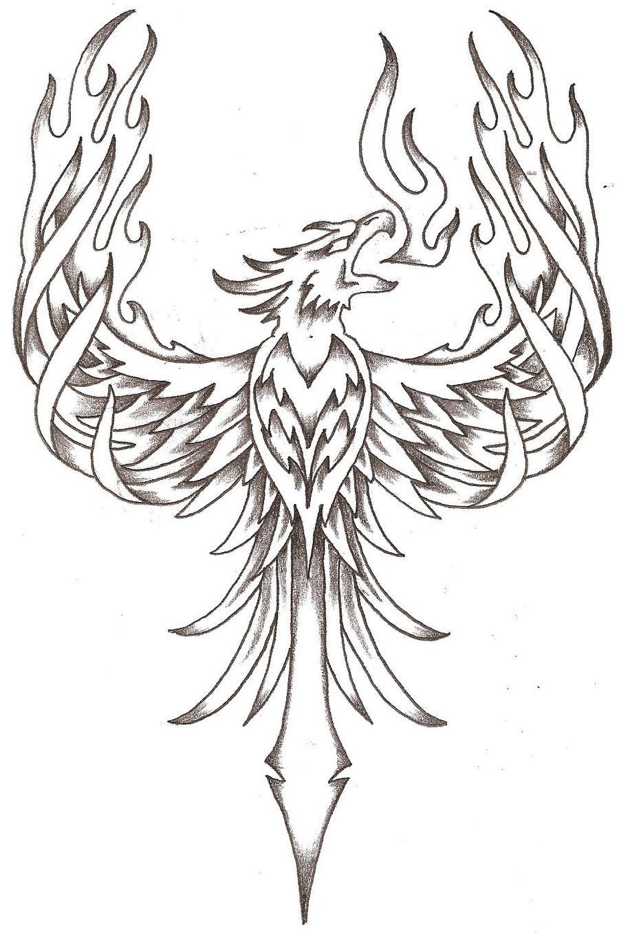 Phoenix Drawings Phoenix Firebird Thelob Traditional Art pertaining to size 900 X 1358