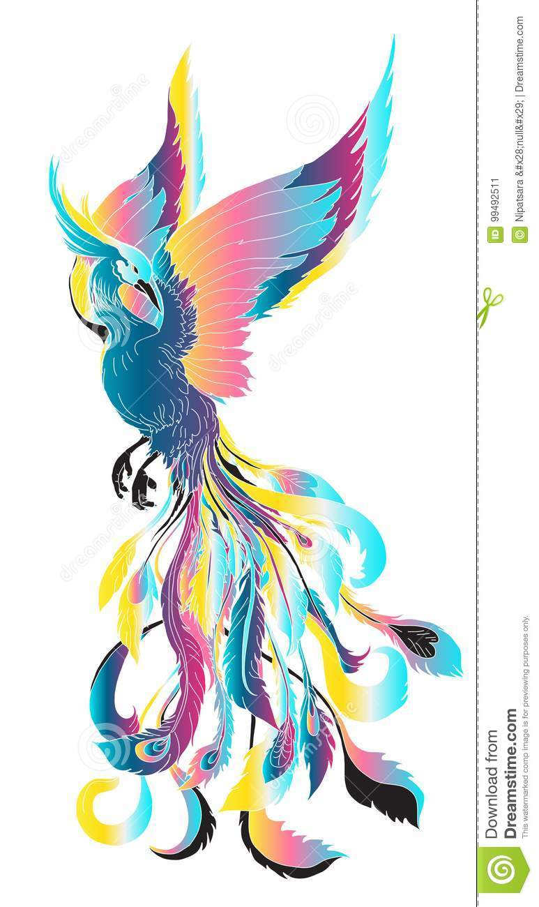 Phoenix Fire Bird Illustration And Character Design Hand Drawn with measurements 773 X 1300