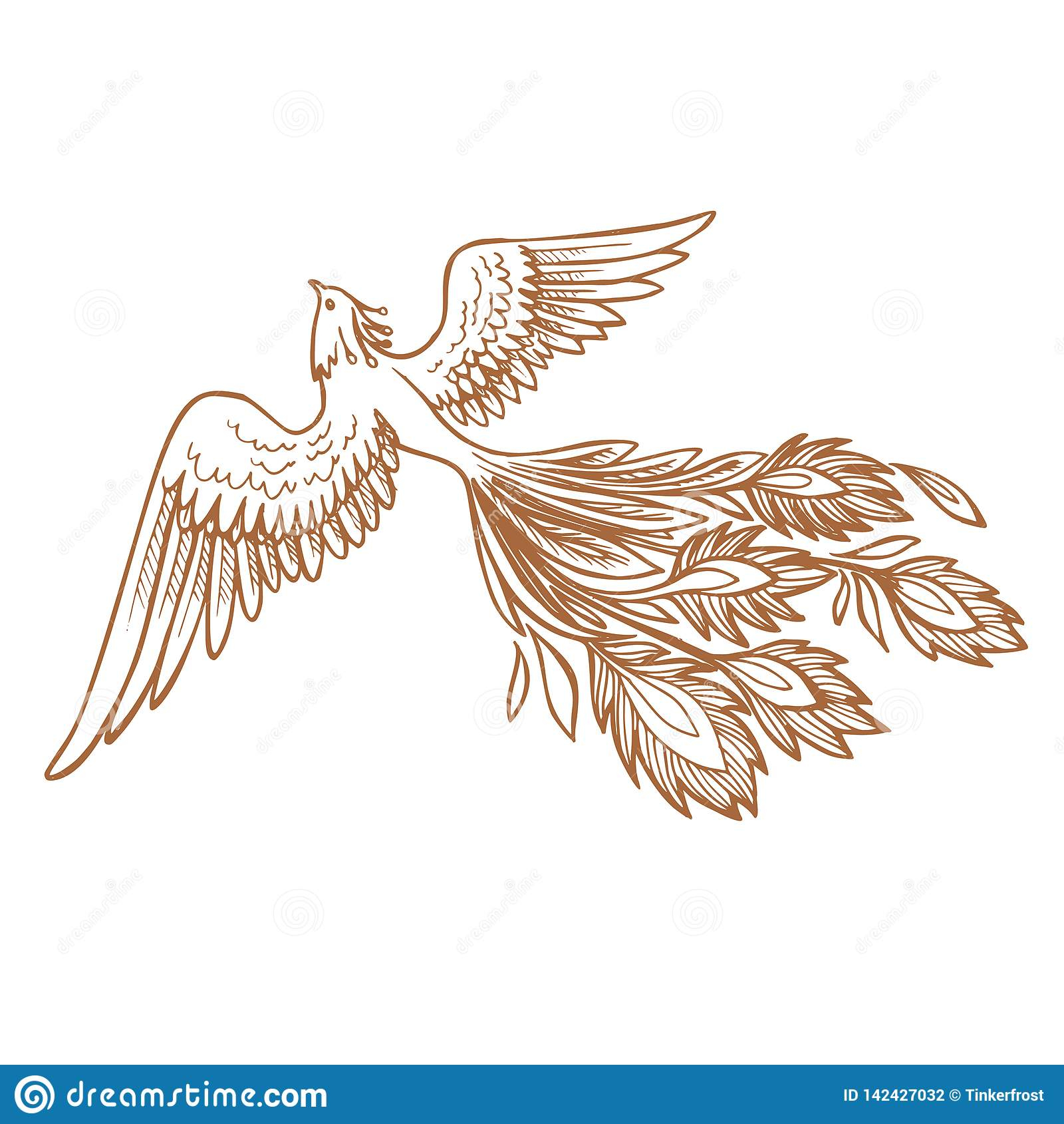 Phoenix Fire Bird Illustration And Character Designhand Drawn intended for measurements 1600 X 1689
