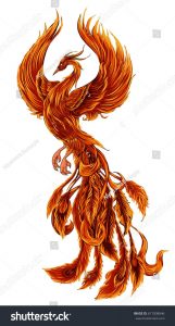 Phoenix Fire Bird Illustration And Character Designhand Drawn pertaining to proportions 860 X 1600