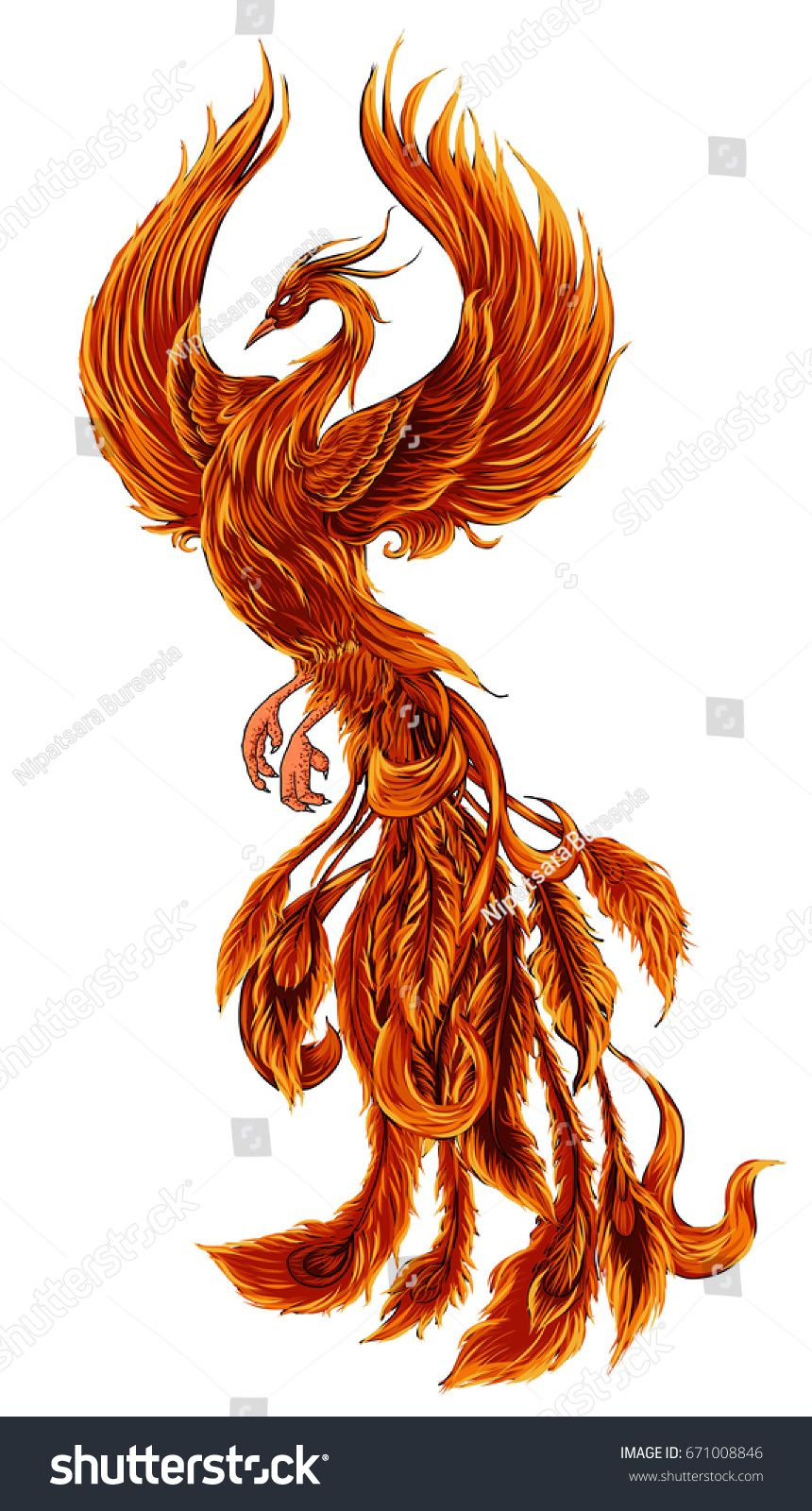 Phoenix Fire Bird Illustration And Character Designhand Drawn throughout size 860 X 1600