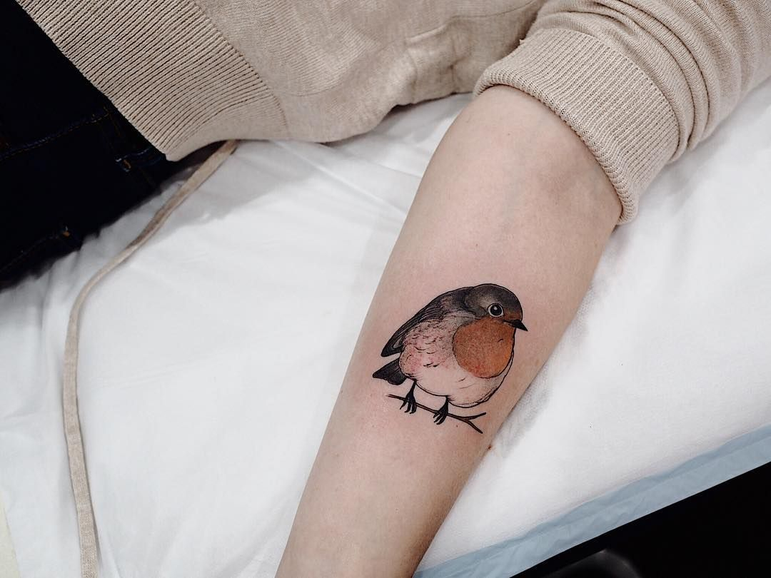 Pin Casey Franquero On Tattoo Ideas Robin Tattoo Robin Bird pertaining to size 1080 X 810