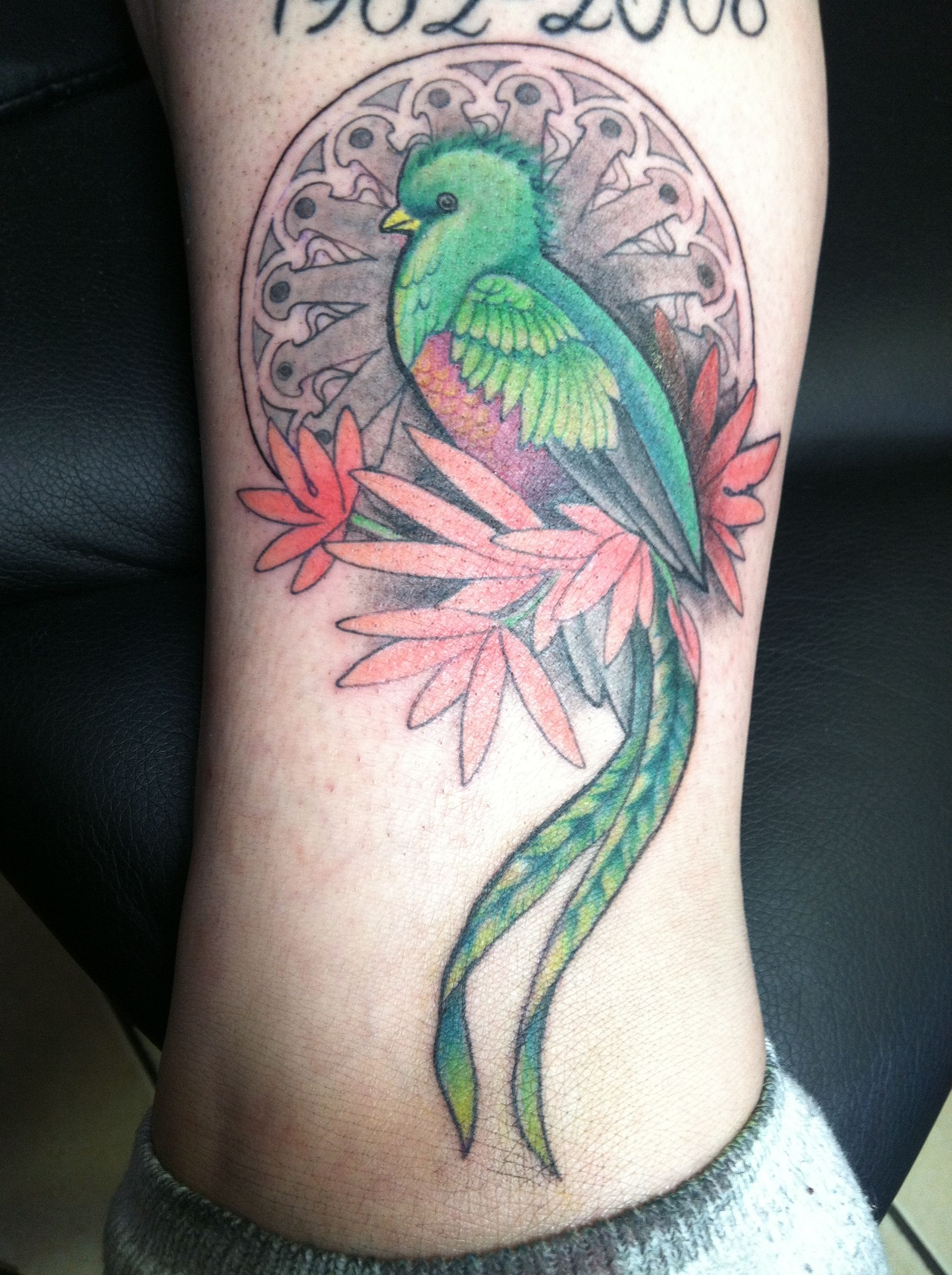 Quetzal Bird Tattoos Quetzal Tattoo Tattoos Pagan Tattoo inside measurements 1936 X 2592