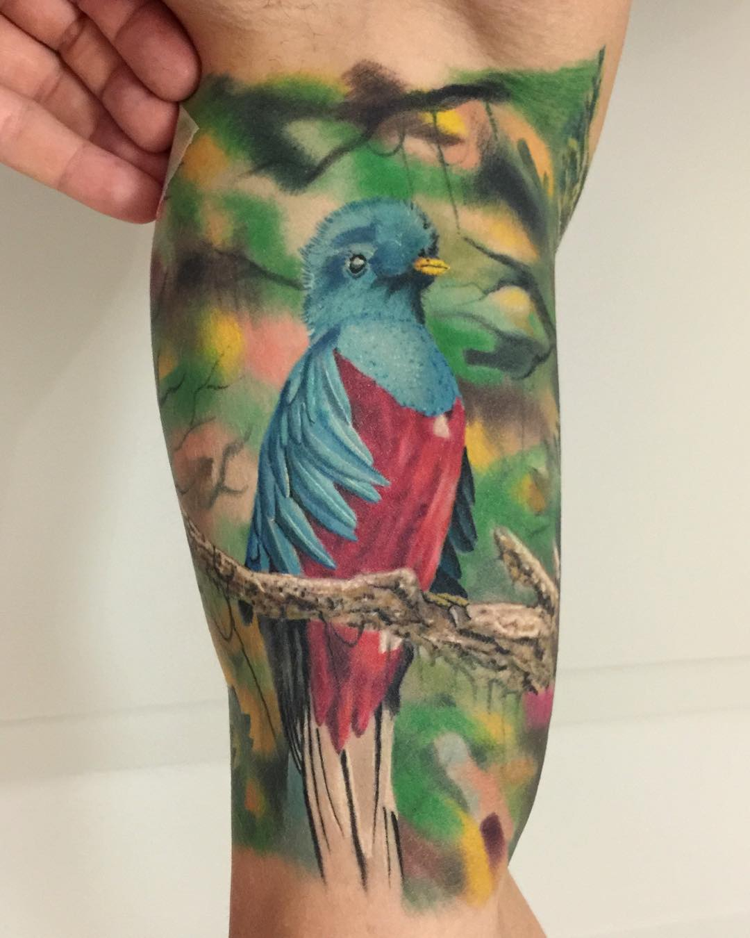 Realistic Bird Tattoo Best Tattoo Ideas Gallery throughout sizing 1080 X 1350