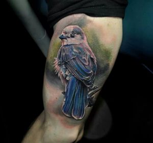 Realistic Blue Bird Tattoo Animal Tattoos Bluebird Tattoo throughout measurements 960 X 898