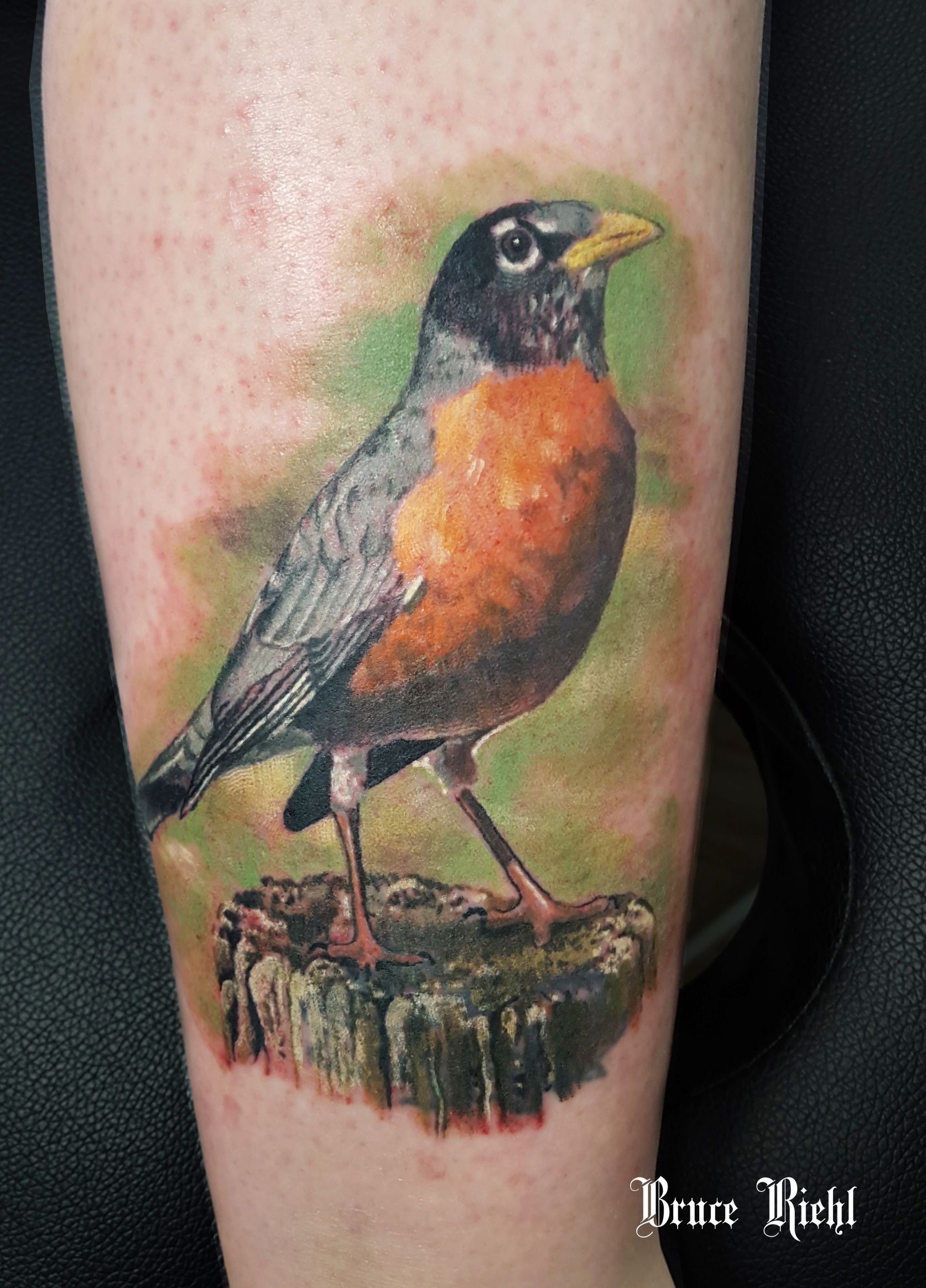 Realistic Robin Tattoo Done Bruce Riehl Tattoos Bruce Riehl throughout proportions 1674 X 2328