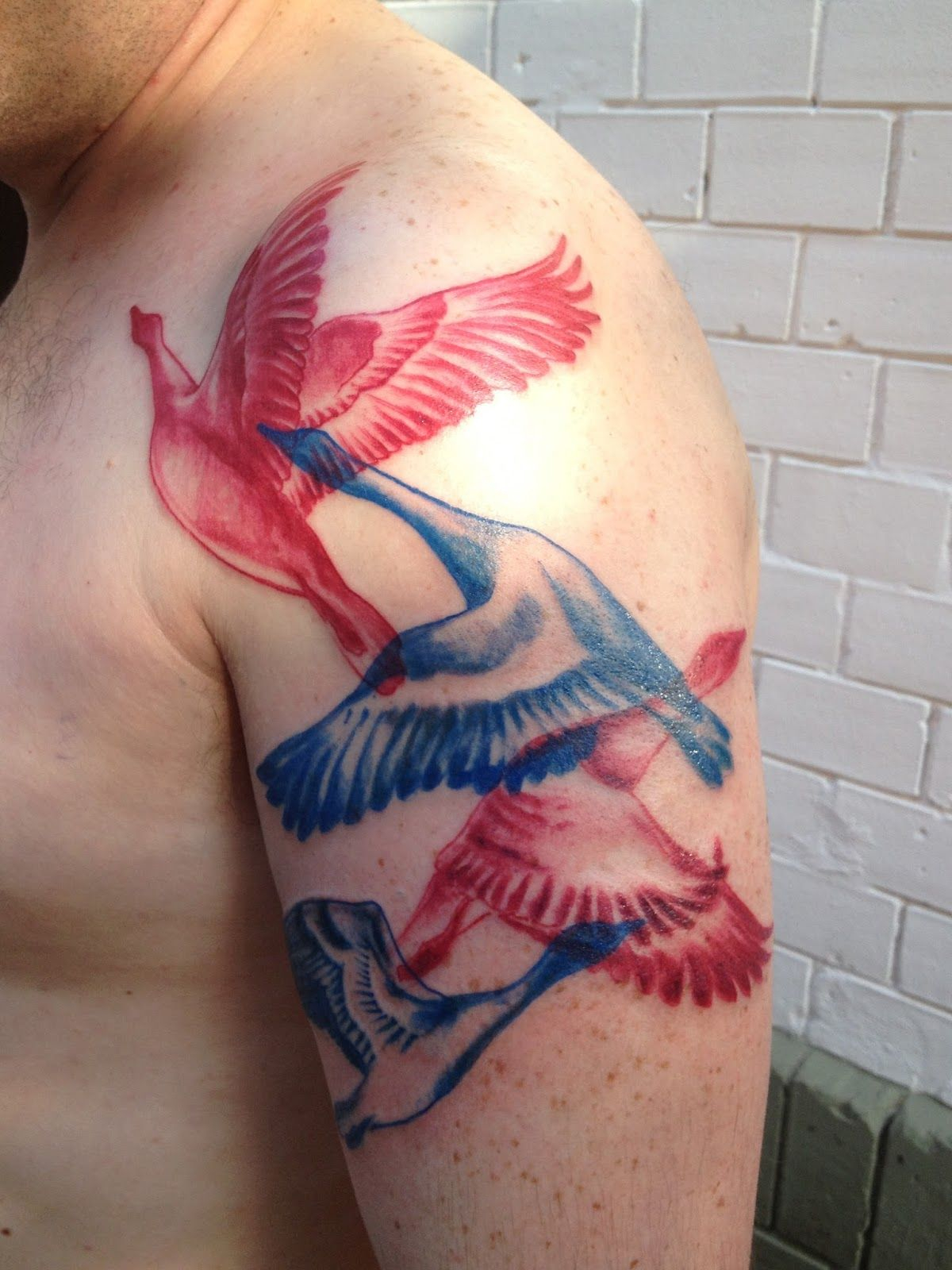 Red And Blue Tattoo Motion Birds Fishes Rouge Et Bleu for size 1200 X 1600