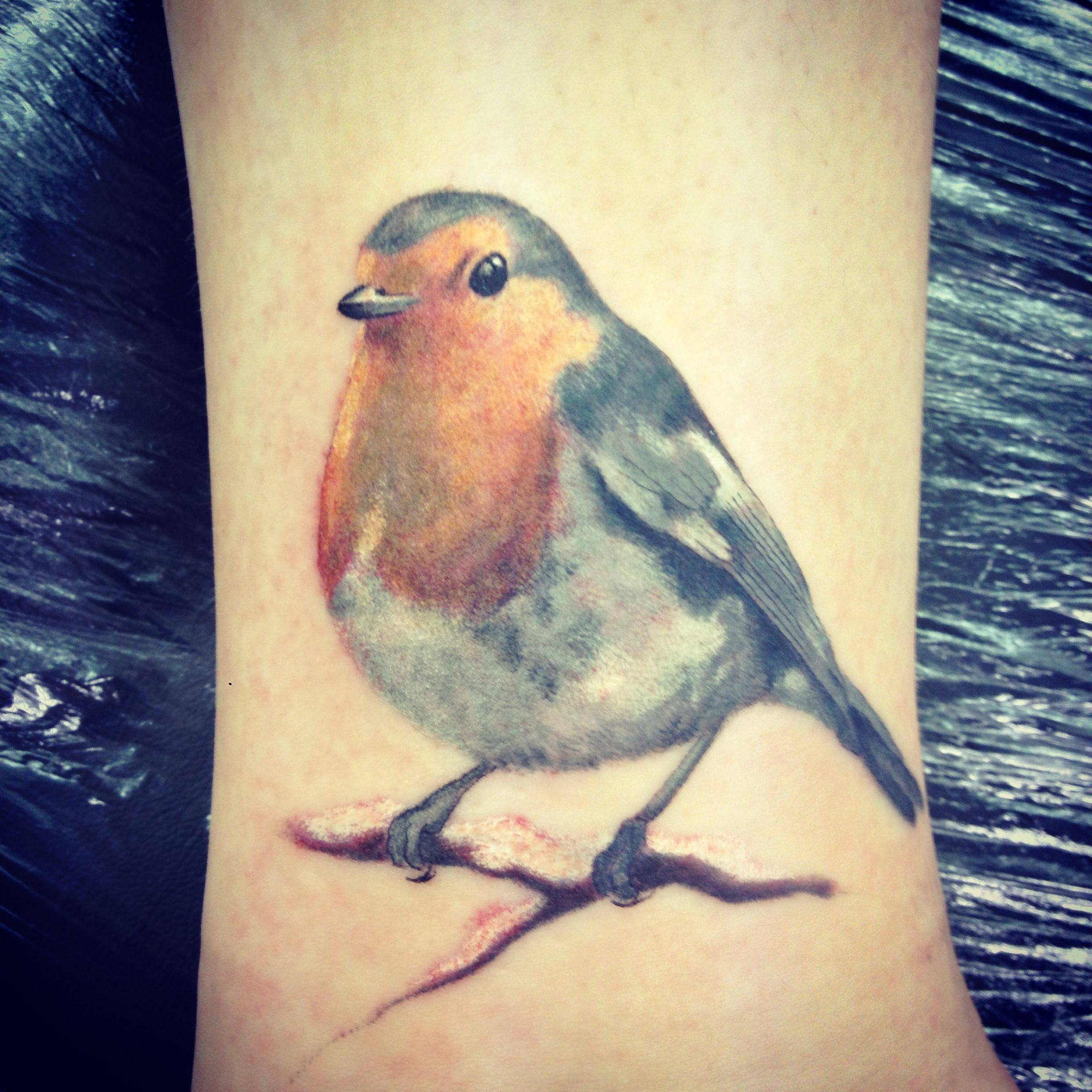 Robins Are A Classic Symbol Of Spring They Symbolize New Beginnings inside size 2448 X 2448