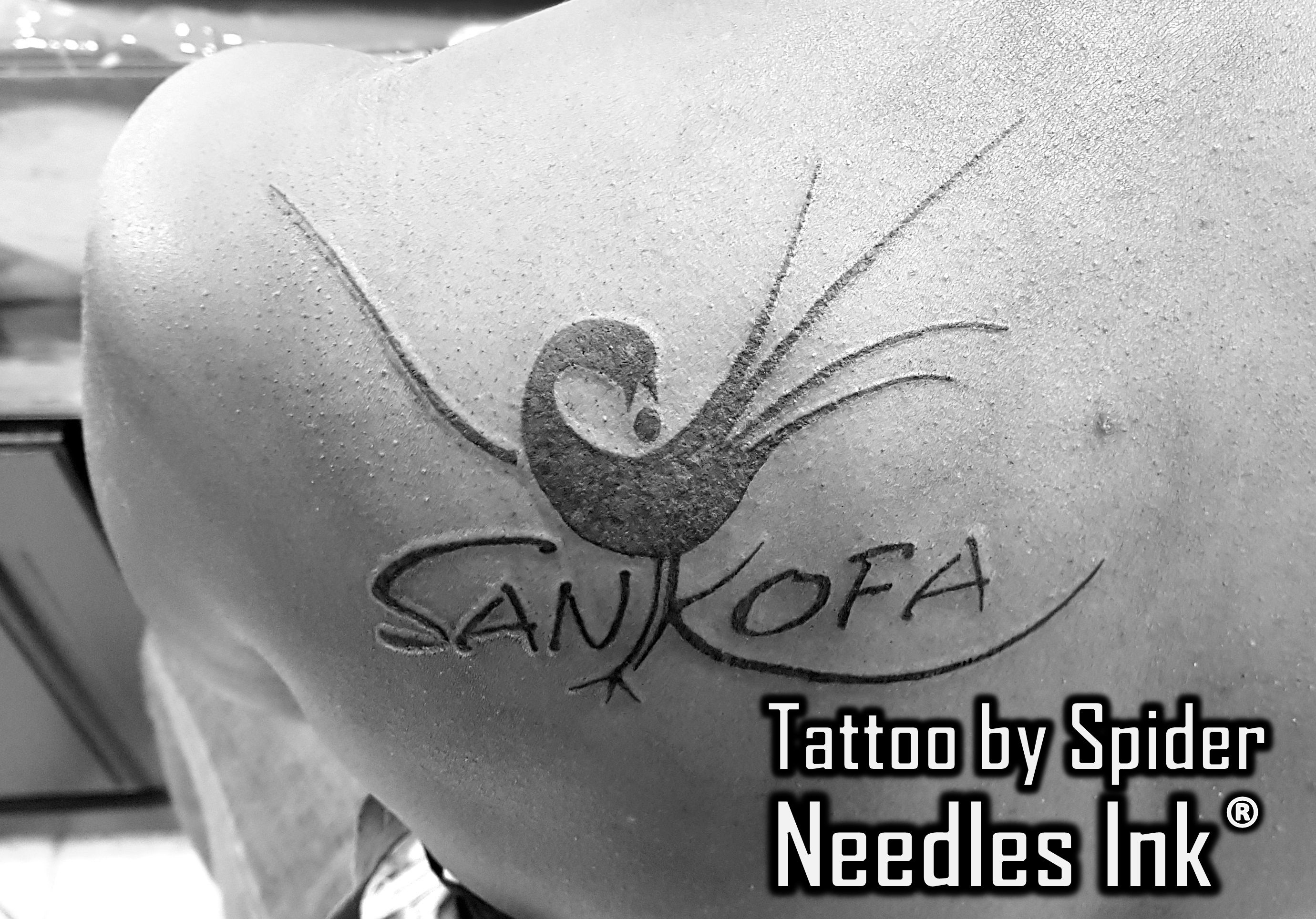 Sankofa Bird Tattoo Spider Sankofabirdtattoo Tattoo with measurements 2760 X 1928