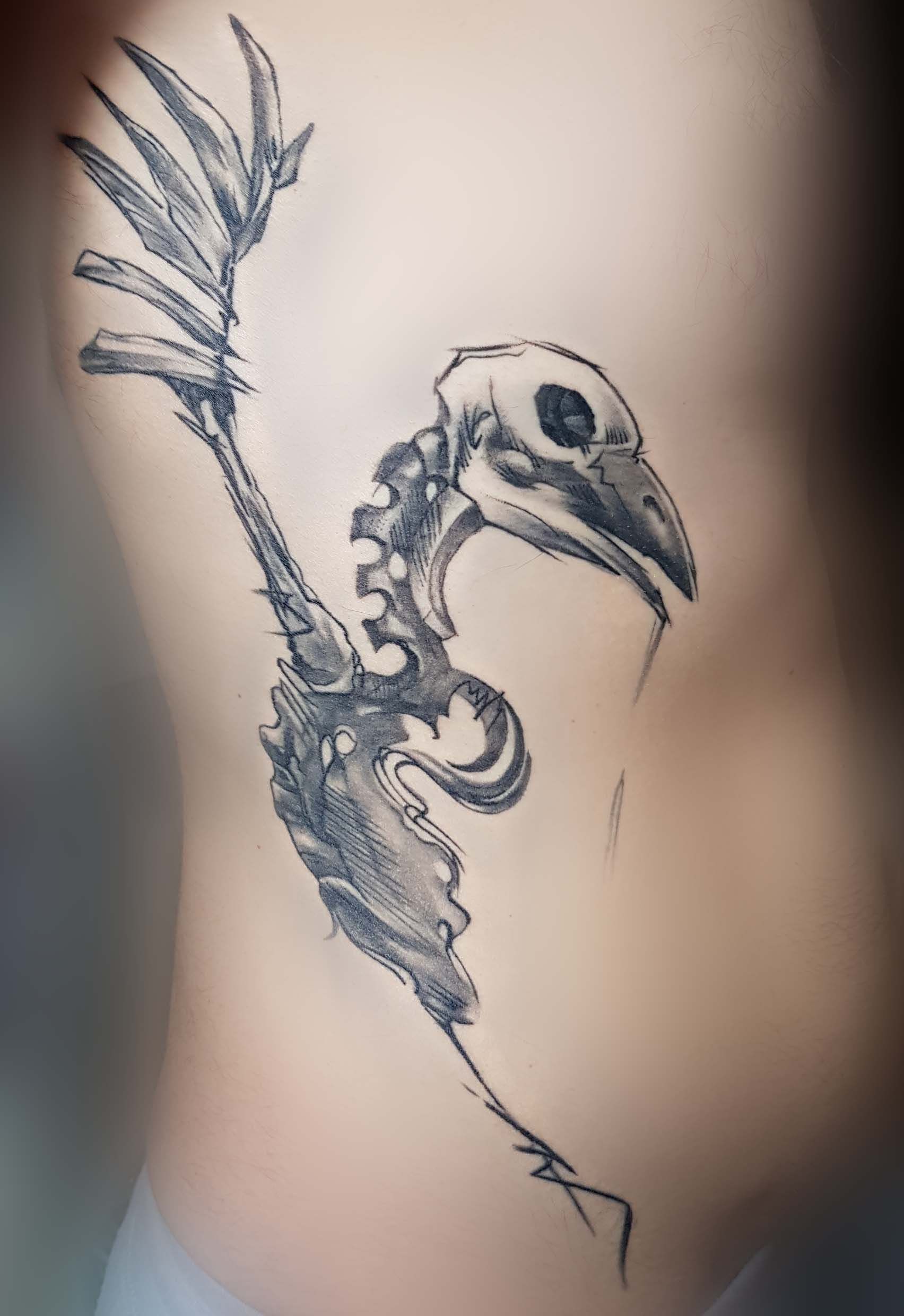 Scetch Style Tattoo Bird Tattoo Bird Skull Bird Bone Sketch Style within size 1704 X 2480