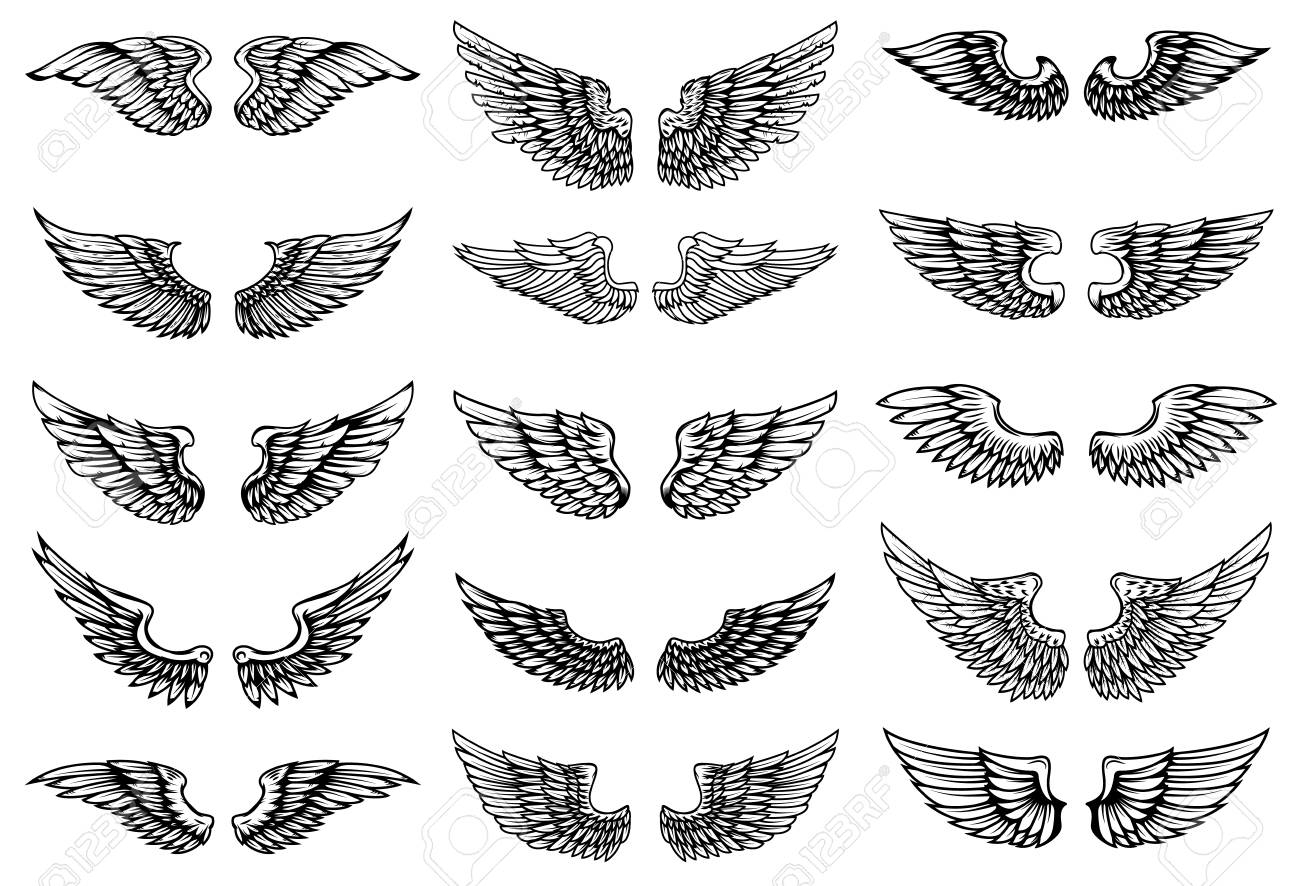 Set Of Bird Wings Illustrations In Tattoo Style Design Element for measurements 1300 X 886