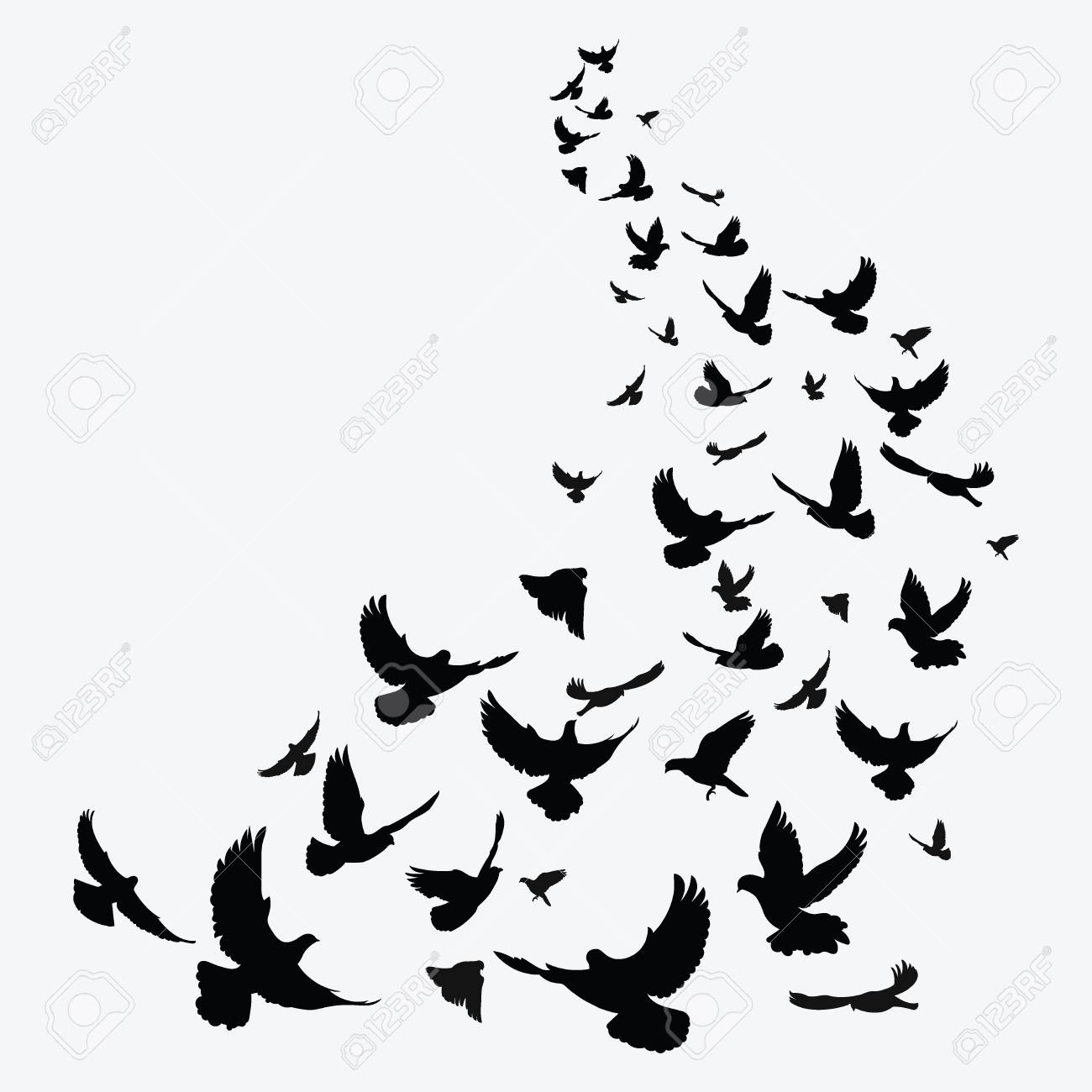 Silhouette Of A Flock Of Birds Black Contours Of Flying Birds for measurements 1300 X 1300