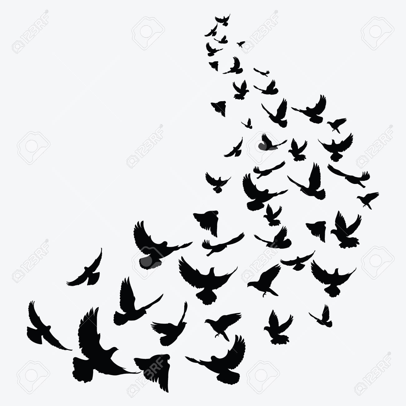 Silhouette Of A Flock Of Birds Black Contours Of Flying Birds for size 1300 X 1300