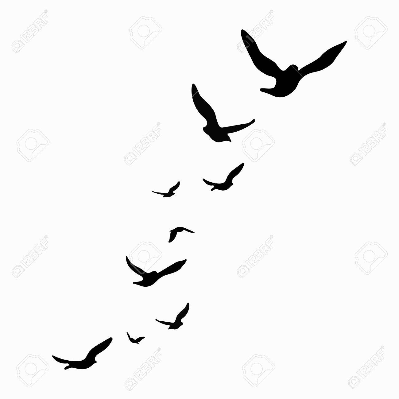 Silhouette Of A Flock Of Birds Black Contours Of Flying Birds in measurements 1300 X 1300