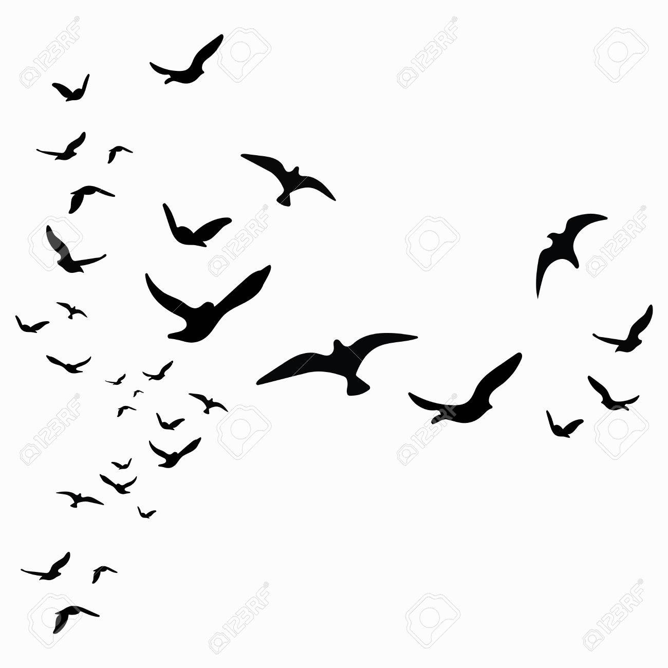 Silhouette Of A Flock Of Birds Black Contours Of Flying Birds regarding measurements 1300 X 1300