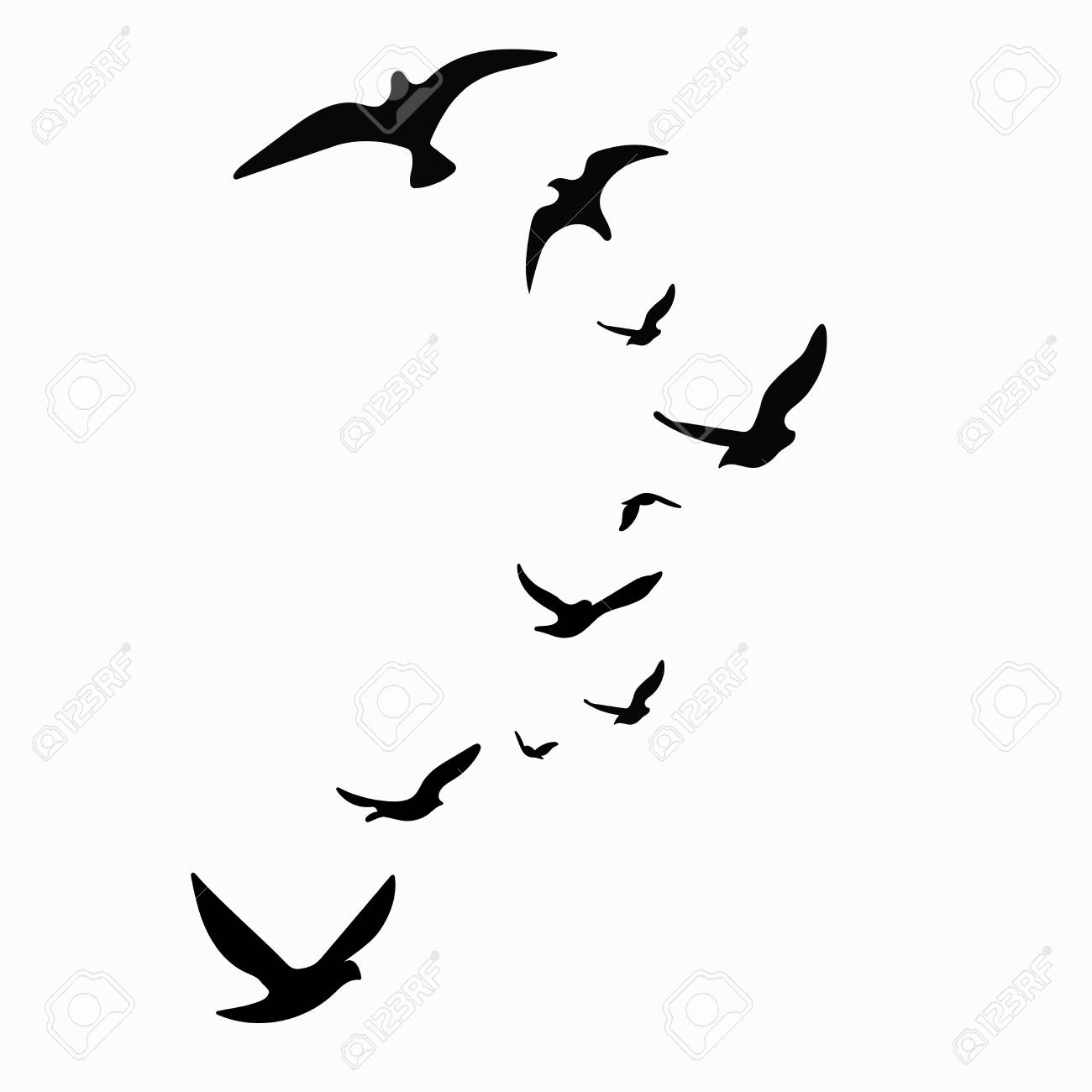 Silhouette Of A Flock Of Birds Black Contours Of Flying Birds with regard to proportions 1300 X 1300