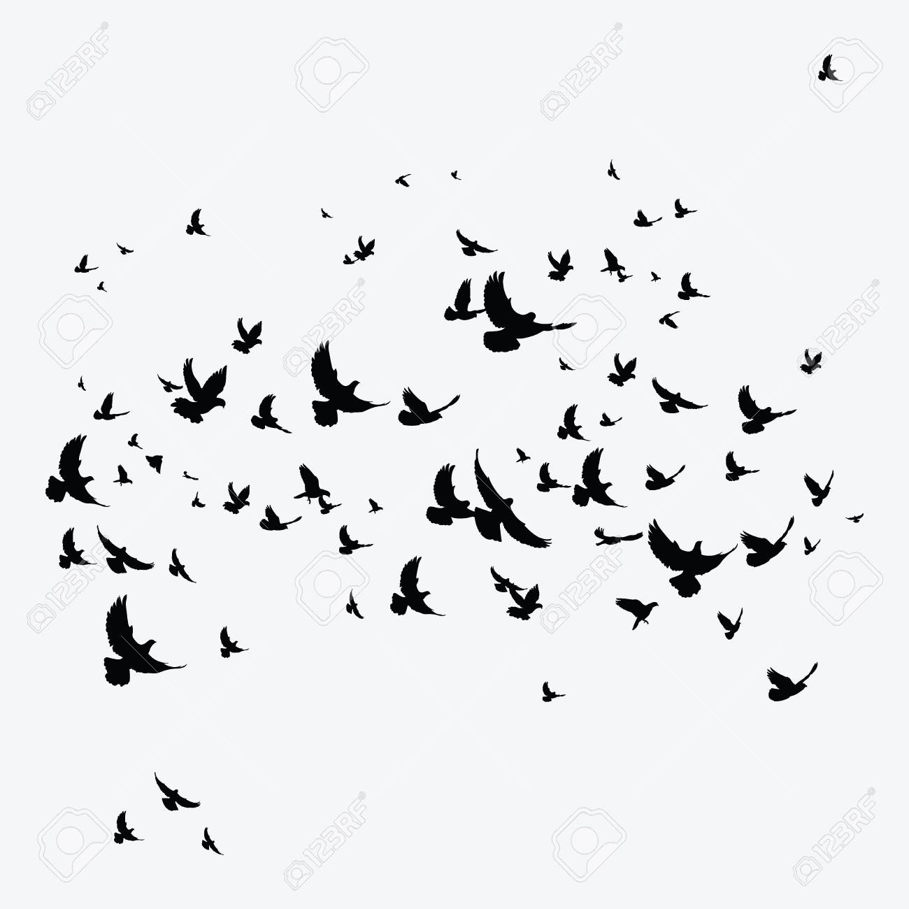 Silhouette Of A Flock Of Birds Black Contours Of Flying Birds with regard to sizing 1300 X 1300