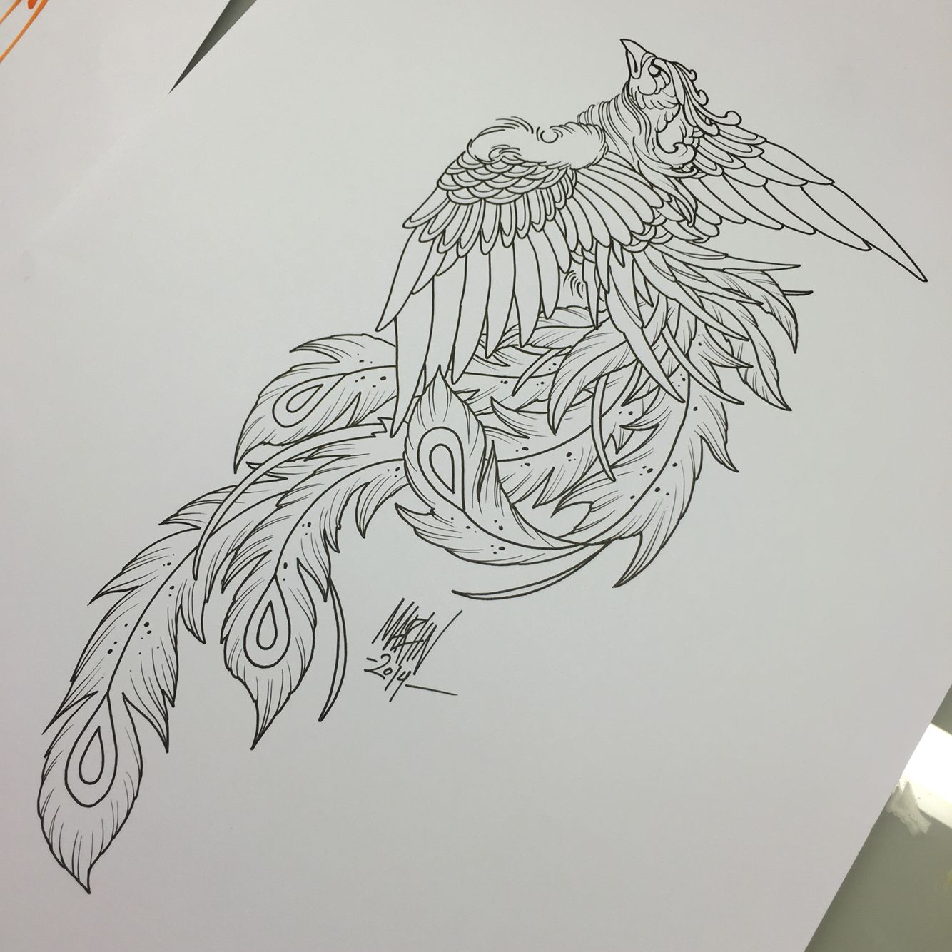 Sketch For Paradise Bird Tattoo Tattoo Ideas Phoenix Tattoo within proportions 1334 X 1334