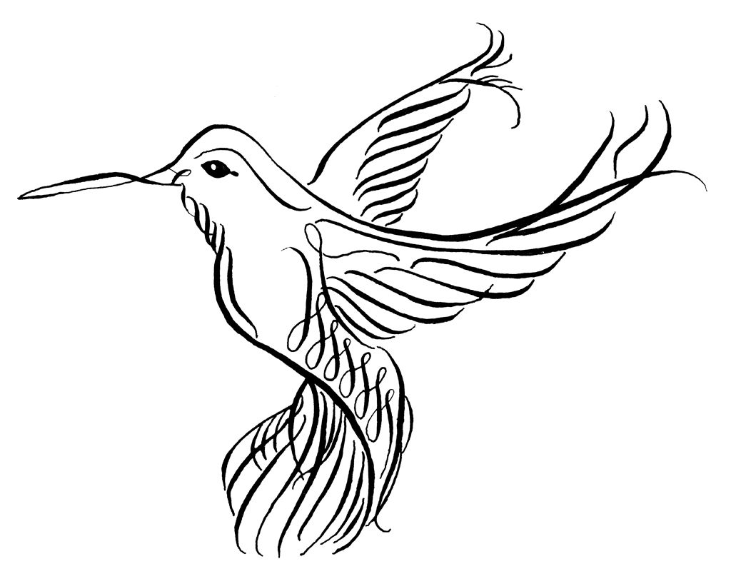 Sneak Peak Tattoo Hummingbird Drawing Bird Drawings Hummingbird pertaining to measurements 1024 X 818