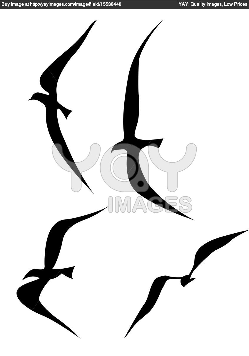 Splendid Flying Birds Silhouette Tattoo Vector Illustration regarding proportions 847 X 1210