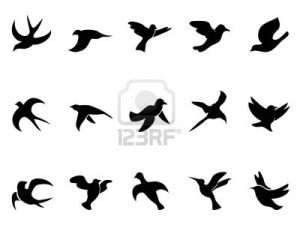 Stock Vector Tattoos And Piercings Bird Drawings Flying Bird pertaining to size 1200 X 900