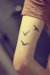 Stunning Designs Of Small Birds Flying On Hands Of Attractive Men with regard to sizing 800 X 1194