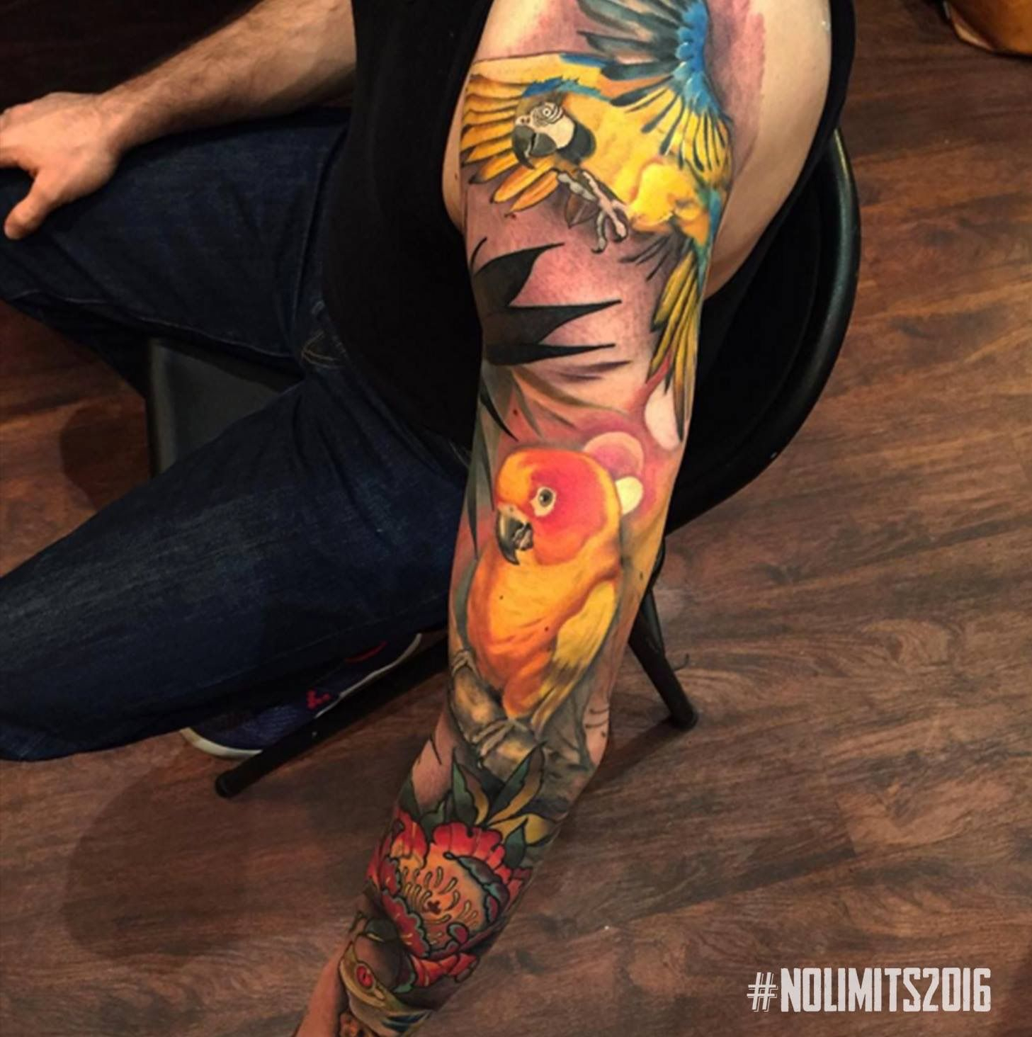 Sun Conure And Blue Gold Macaw Animal Tattoo Parrot Tattoo pertaining to proportions 1457 X 1464