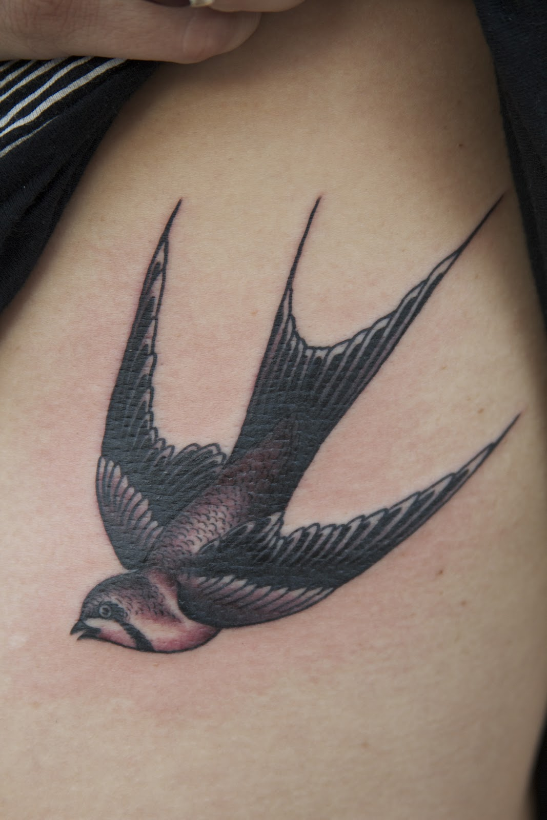 Swallow Tattoos Designs Ideas And Meaning Tattoos For You regarding dimensions 1067 X 1600