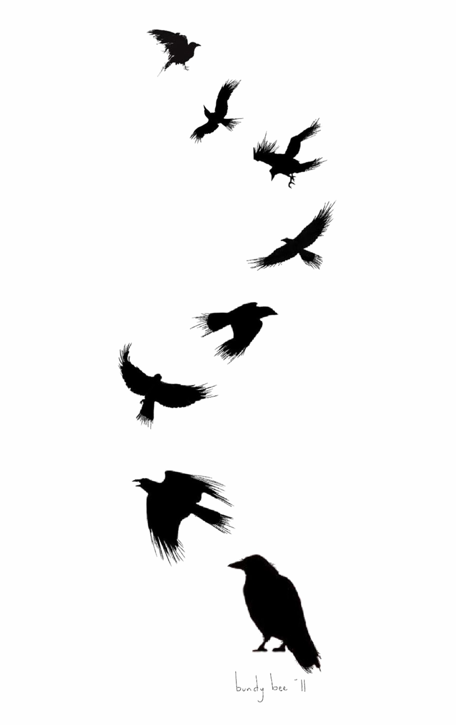 Tattoo Flight Crow Drawing Common Ink Bird Small Raven Tattoo pertaining to proportions 920 X 1462
