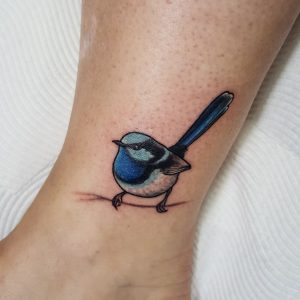 Tattoos Superb Fairy Wren On The Ankle Fairywren Superbfairywren inside size 1024 X 1020