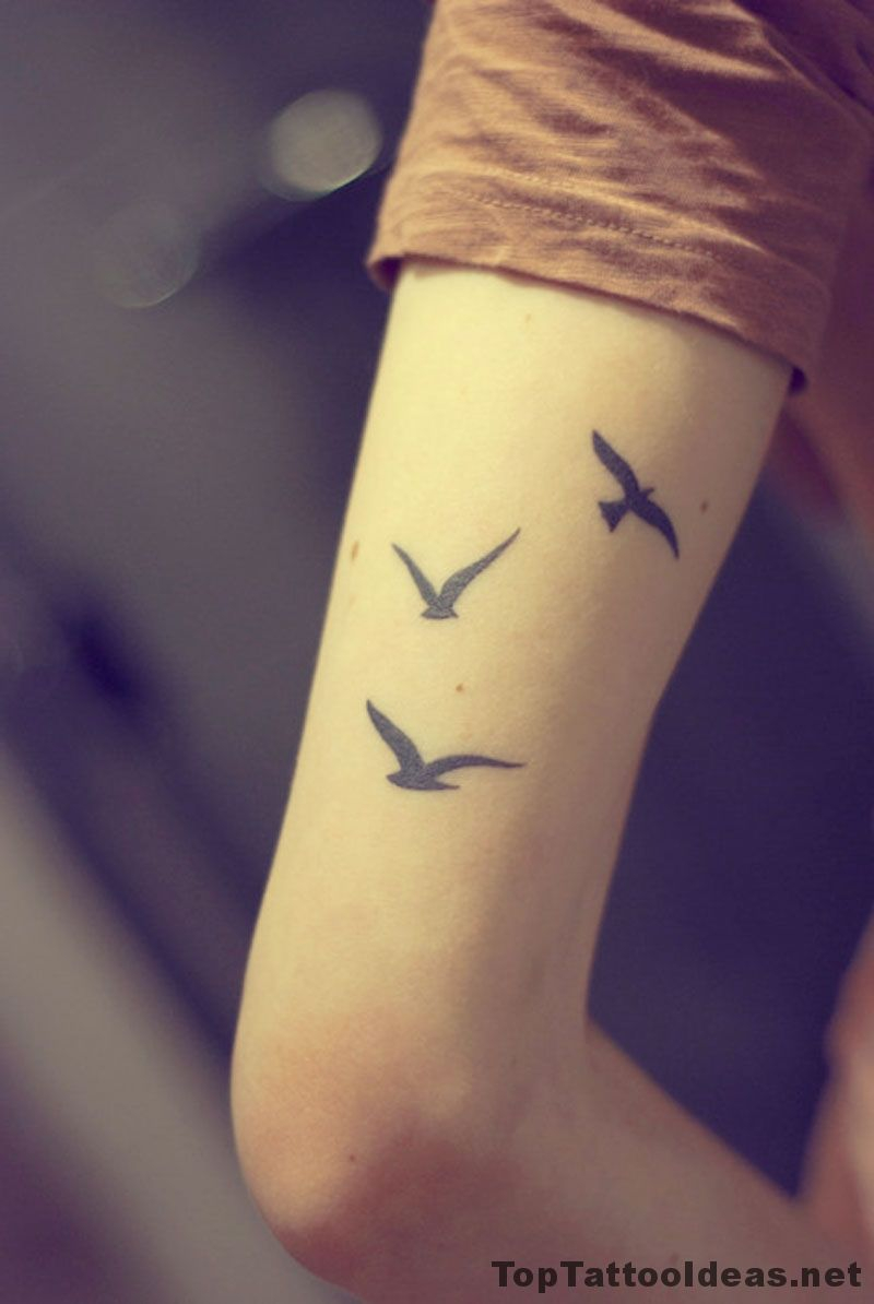 Three Birds Arm Tat Tattoo Idea Arm Tattoos Small Tattoos For inside measurements 800 X 1194