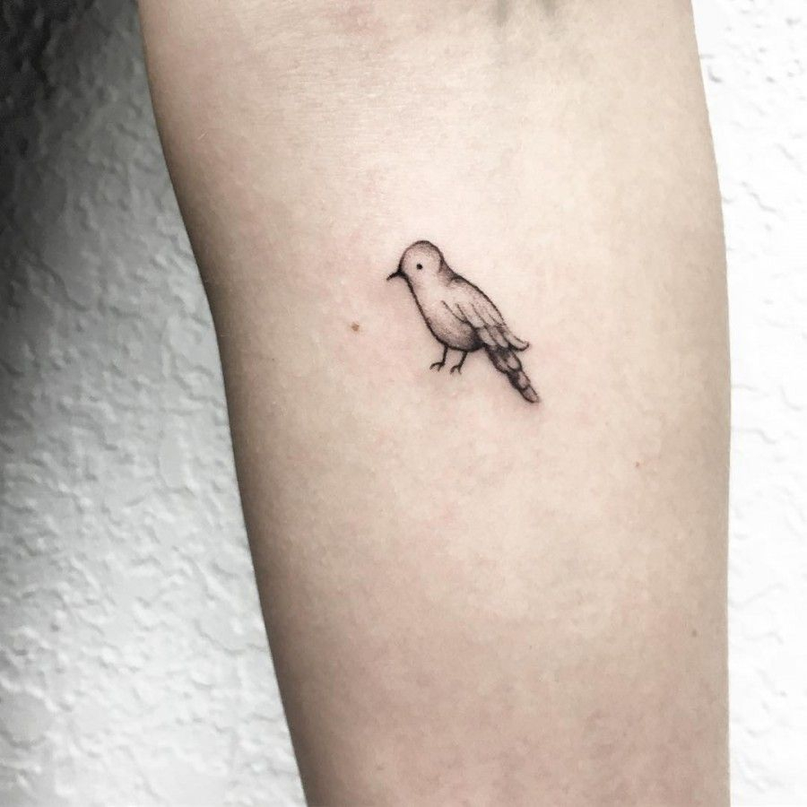 Tiny Bird Tattoo Luiza Blackbird Ink Paloma Tatuaje Tatuaje within dimensions 900 X 900