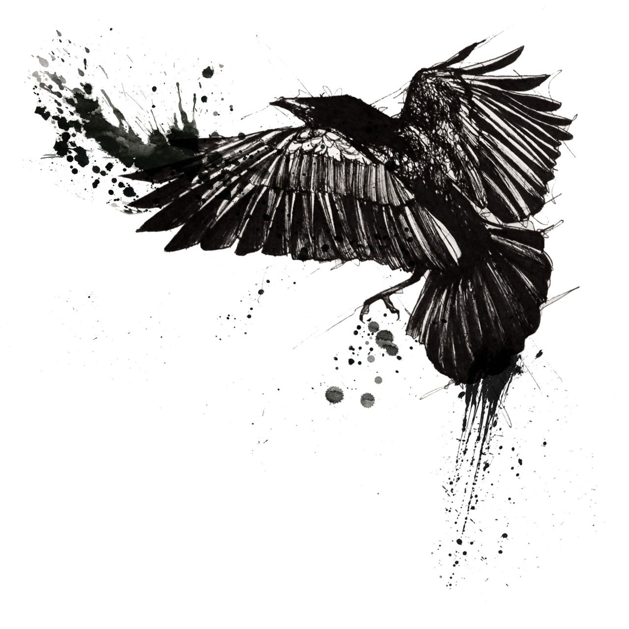 Top 10 Raven Tattoo Designs When We Think About A Unique And inside size 1280 X 1280