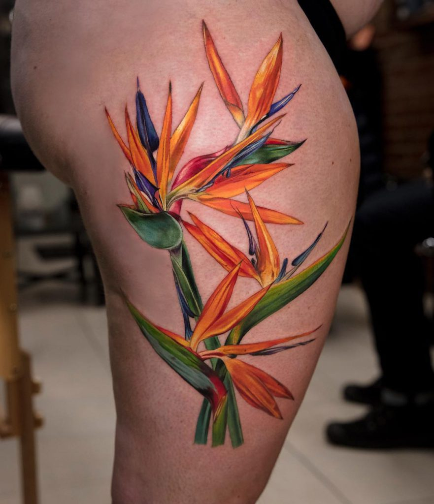 Top 15 Bird Of Paradise Flower Tattoos Littered With Garbage intended for sizing 881 X 1024