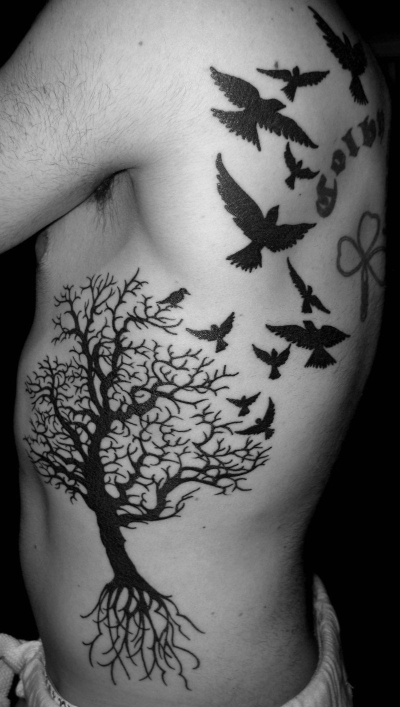 Tree With Birds Tattoo Tree Of Life Tattoo Pictures At inside proportions 800 X 1413