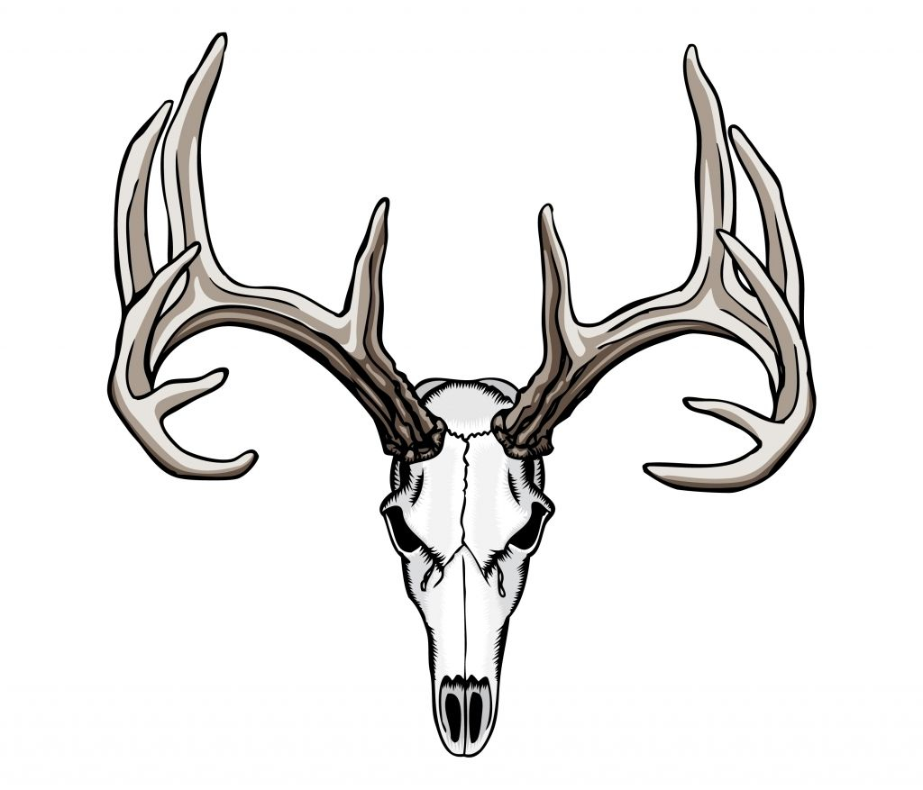 Tribal Deer Antler Tattoos 1000 Ideas About Deer Skull Tattoos On intended for size 1024 X 877