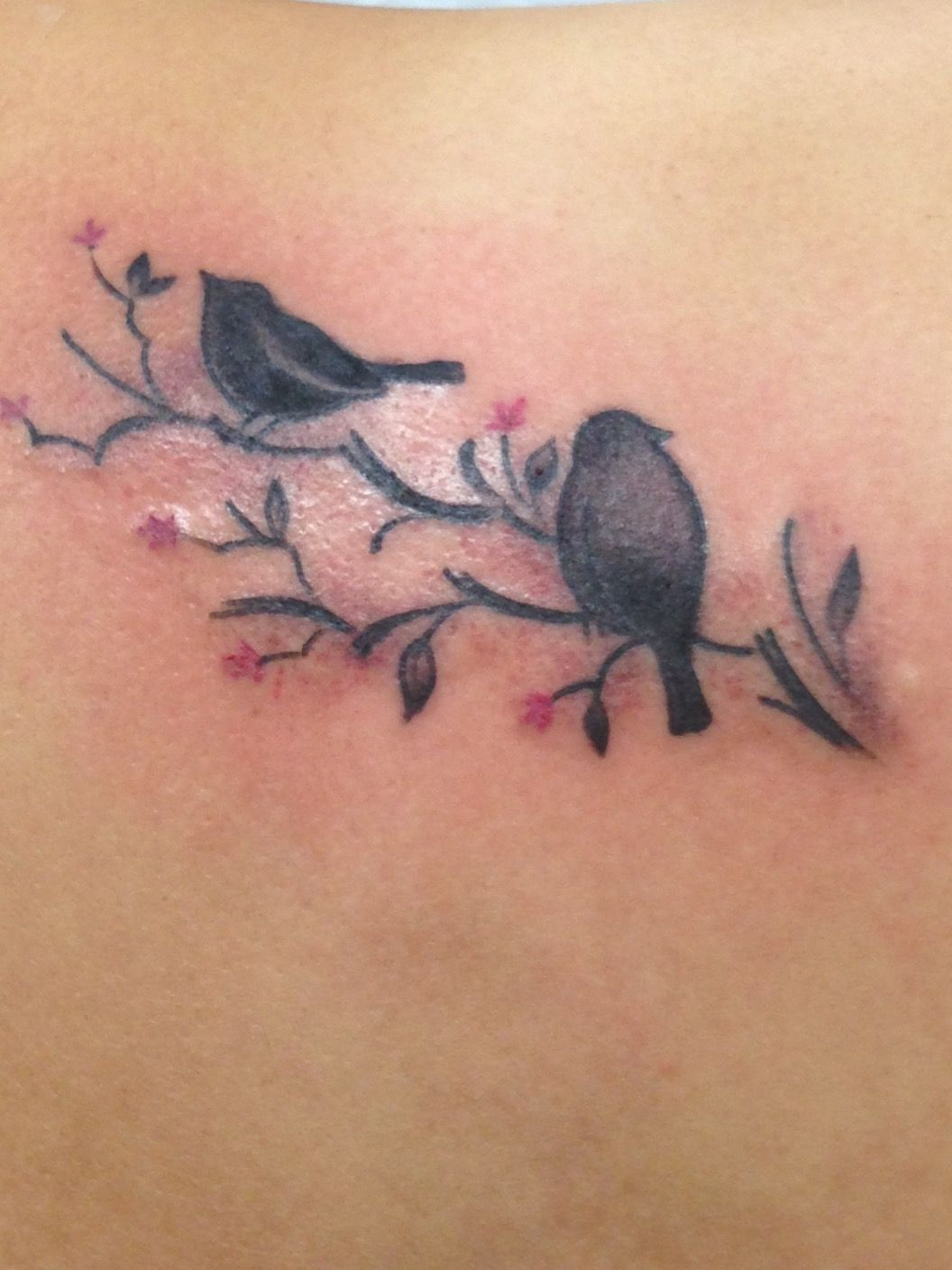 Two Birds On Cherry Blossom Branches To Represent My Two Little for size 1056 X 1408