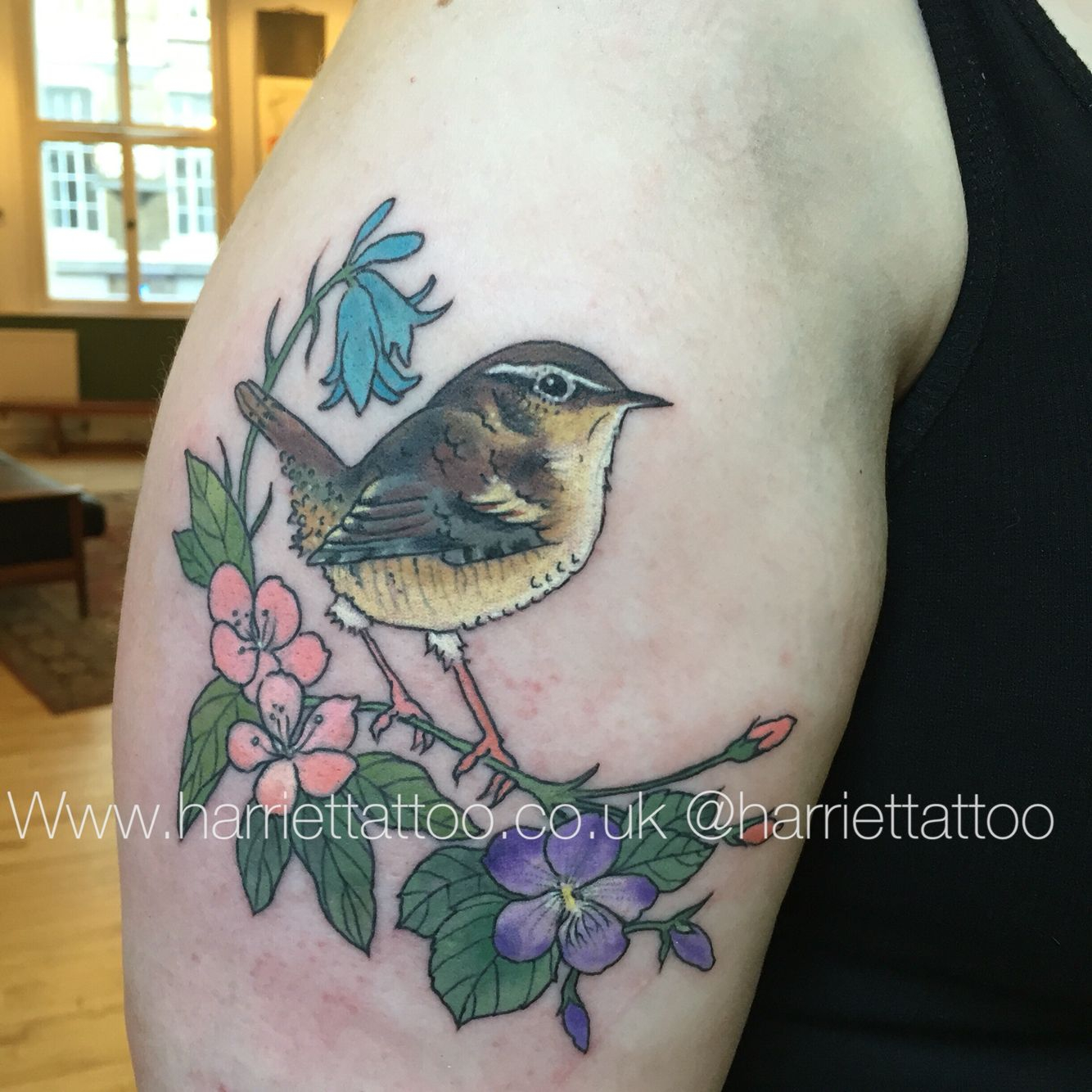 Wren Bird Tattoo With Bluebells Blossom And Dog Violets with regard to dimensions 1334 X 1334