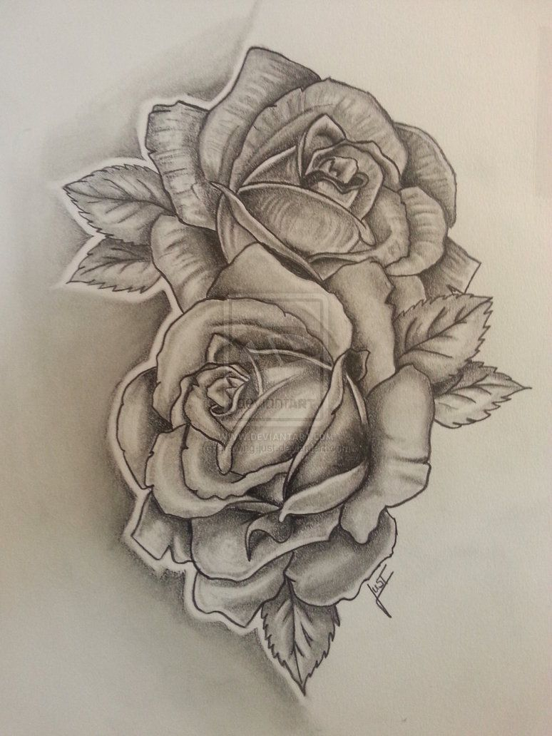 2 Roses Tattoodesign Drawing Just Drawings Tattoos Side with measurements 774 X 1032