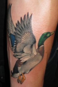 37 Wonderful Duck Tattoos throughout measurements 736 X 1102