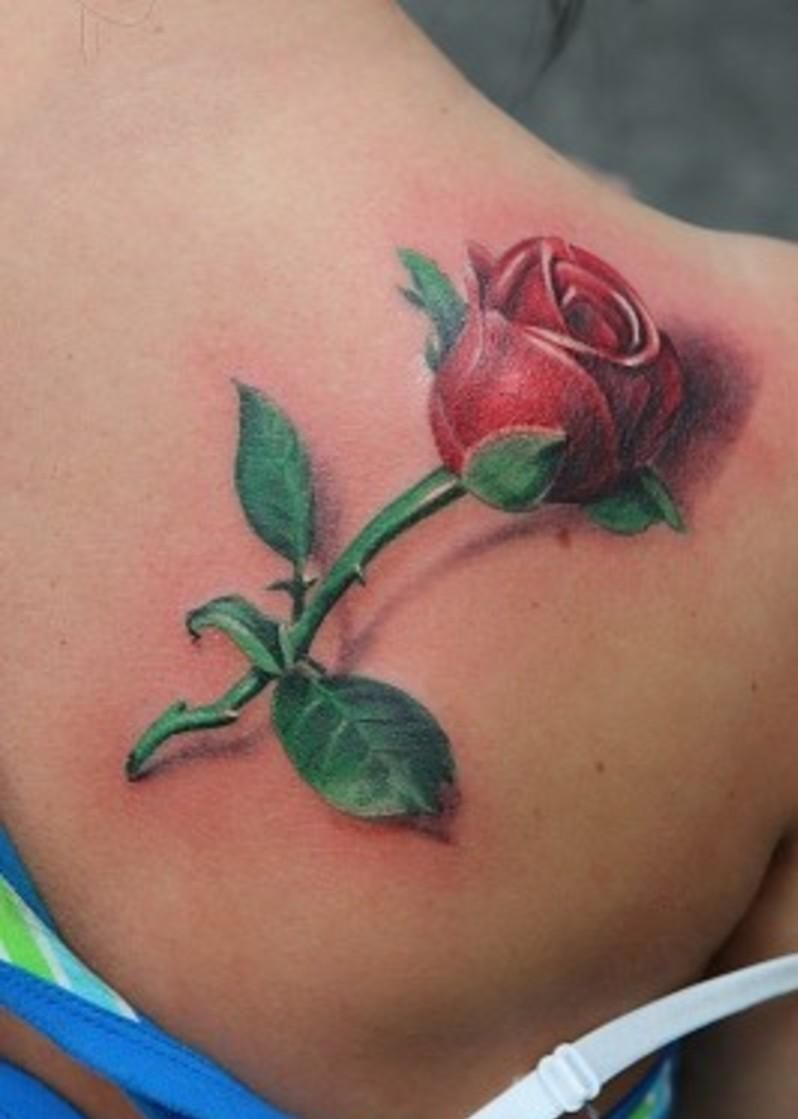 3d Rose Flower Tattoo On Back Shoulder Tatts Rose Tattoos 3d for size 798 X 1119